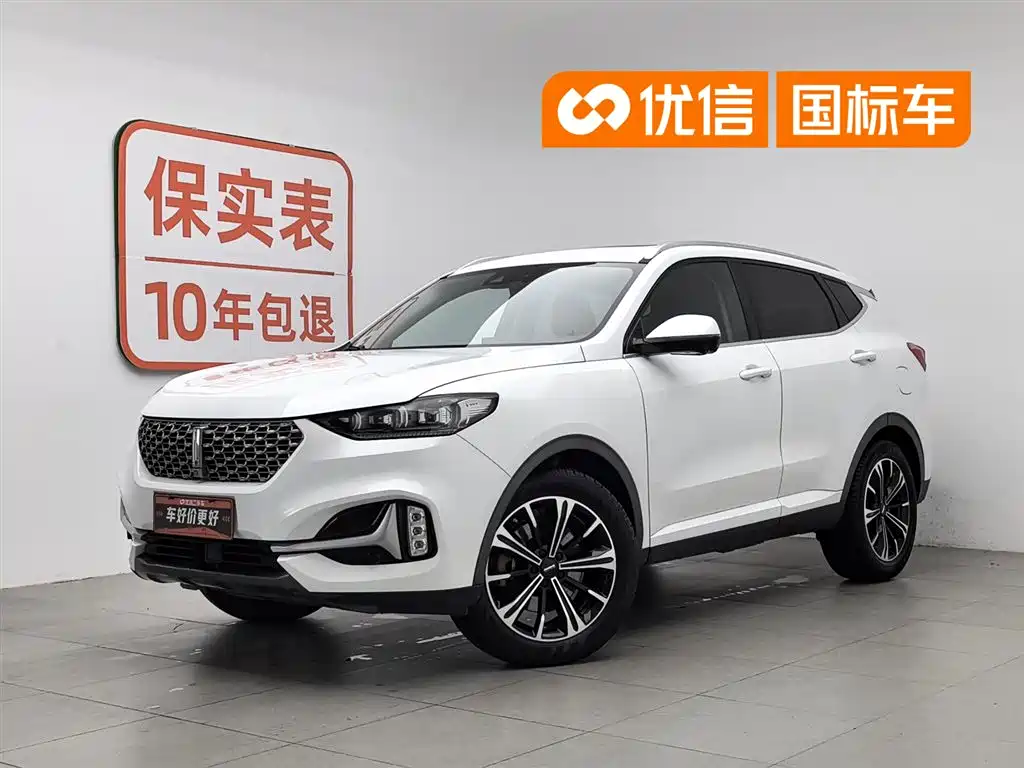 WEY VV6 2021 2.0T 2WD Smart Enjoyment+