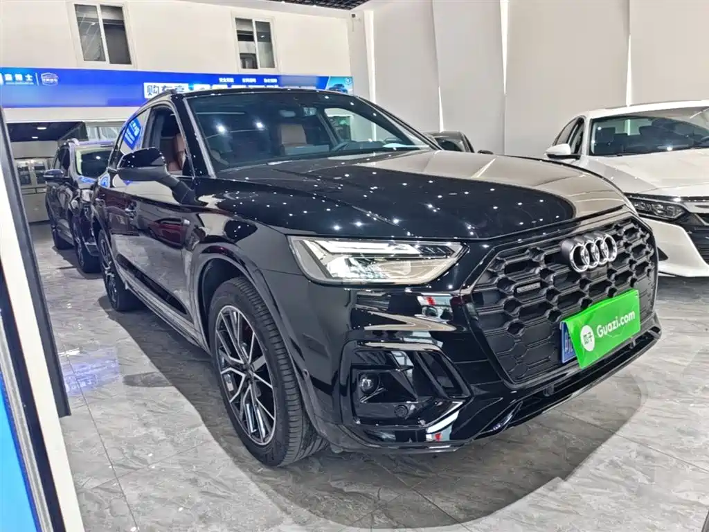 Audi Q5L 2025 45th Anniversary Edition 45 TFSI Luxury Sport фото 4