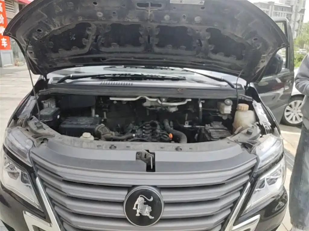 DONGFENG POPULAR LINGZHI