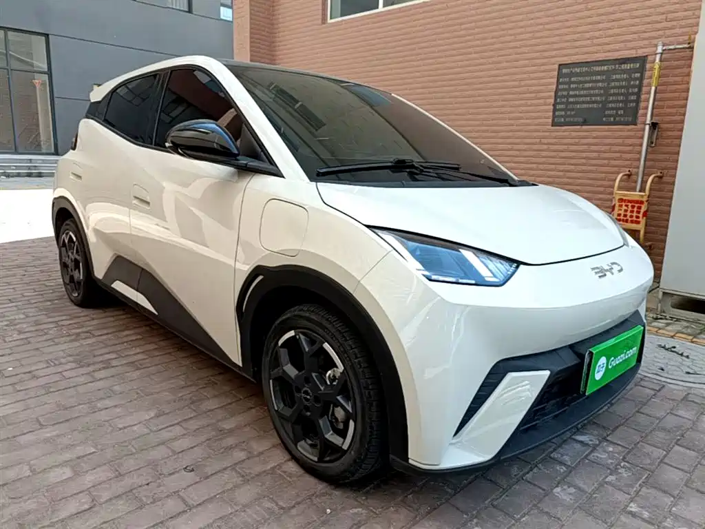 BYD Seagull 2024 Glory Edition 305km Freedom Edition фото 4