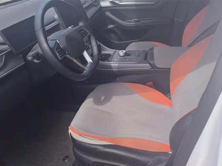 BYD Destroyer 05 2024 Glory Edition DM-i 55KM Luxury фото 9