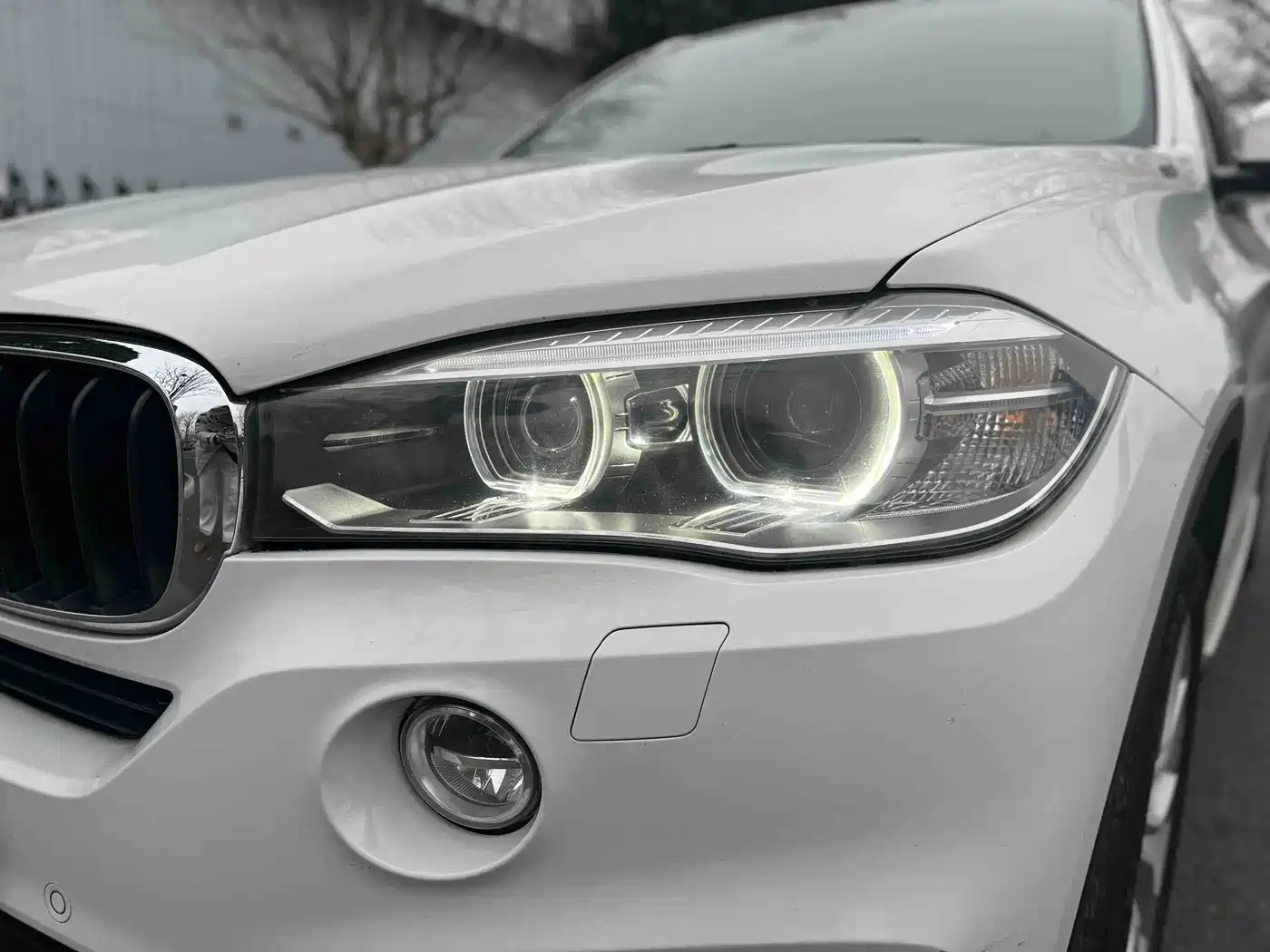 BMW X5 (Import) 2014 xDrive35i Elegance фото 31