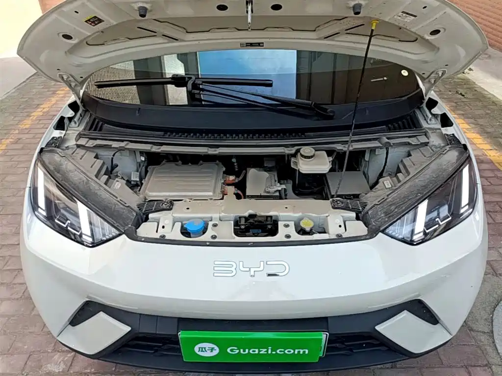 BYD Seagull 2024 Glory Edition 305km Freedom Edition фото 20