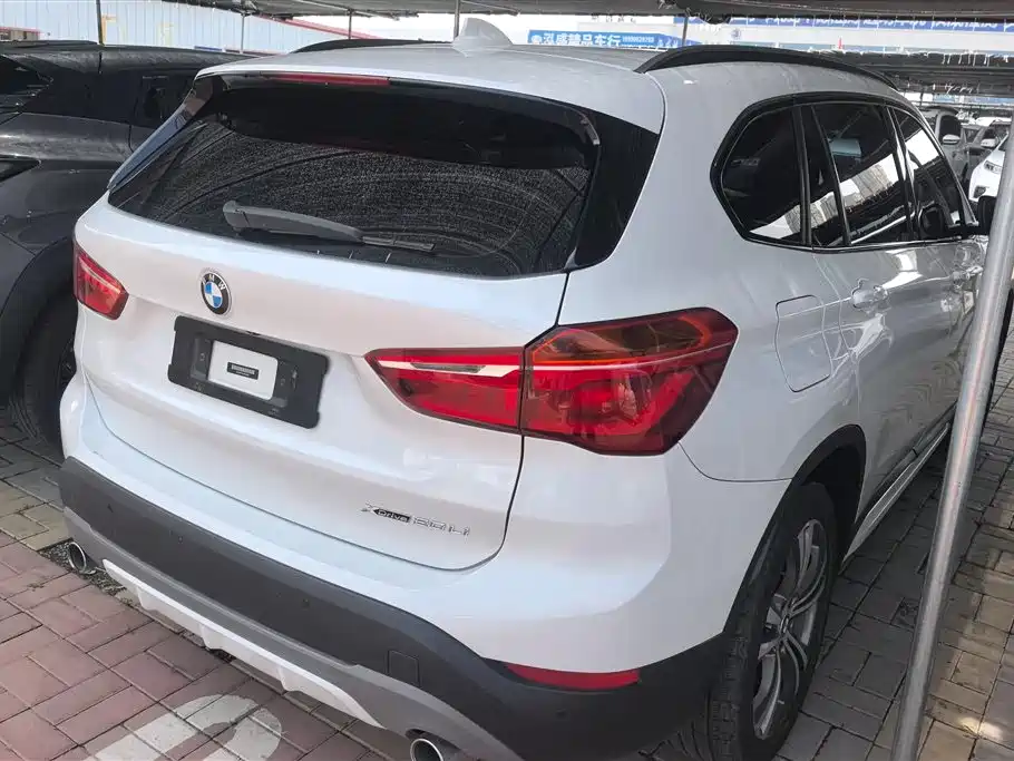 BMW X1 2018 xDrive20Li Luxury Model фото 3