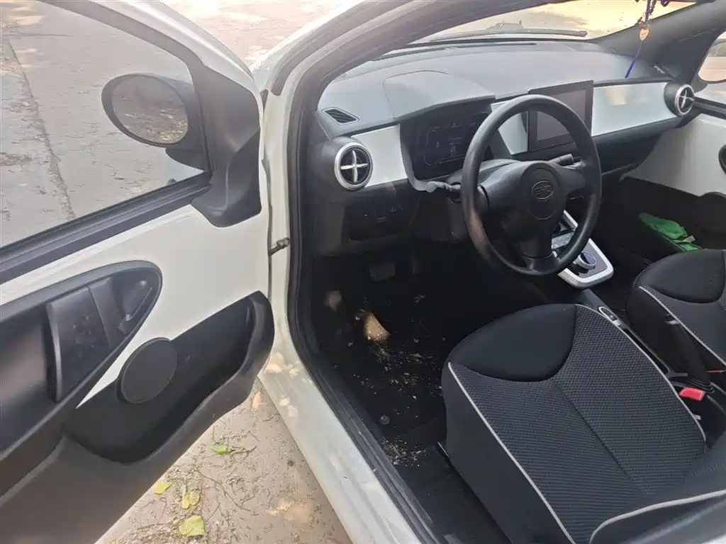BYD e1 2020 Smart Comfort фото 16