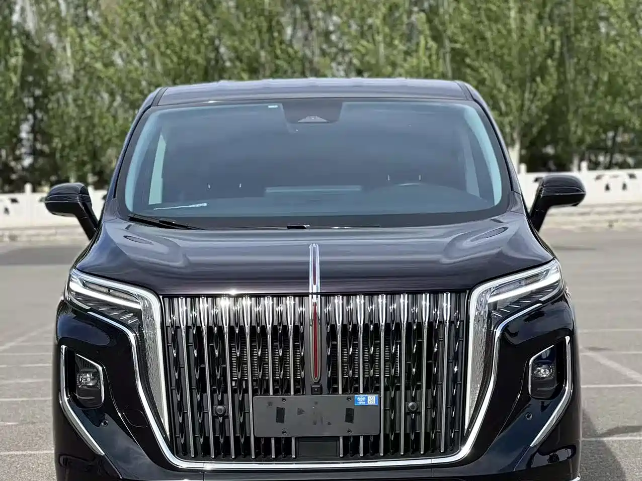 Hongqi HQ9 PHEV 2024 Model 2.0T AWD Luxury Edition фото 2