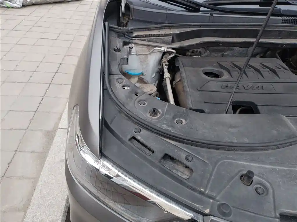 Haval H6 2019 Sport 1.5T Automatic 2WD Elite (China VI) фото 21