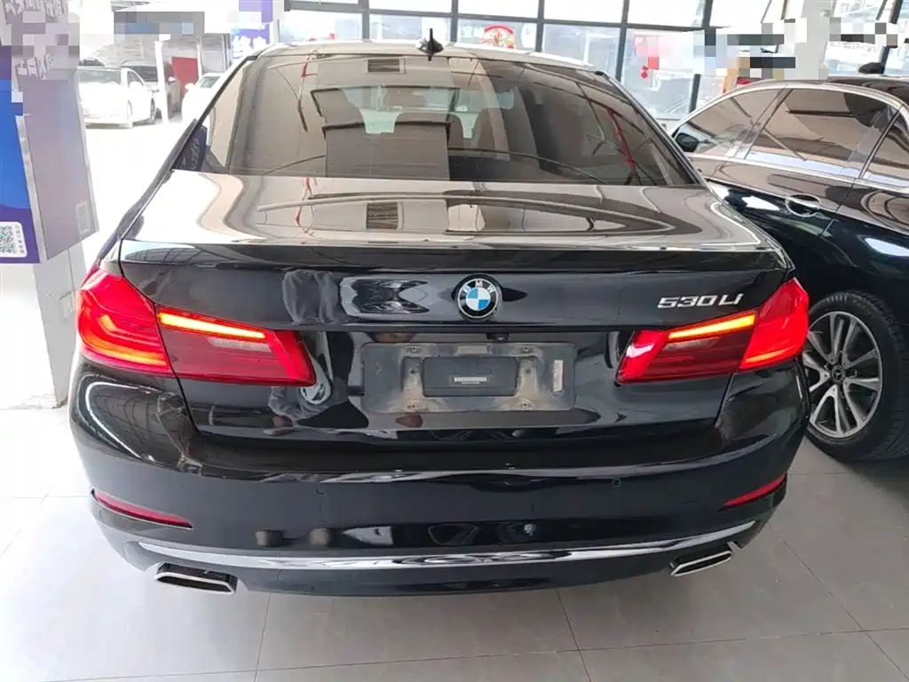 BMW 5 Series 2020 530Li Leading Luxury Package фото 6