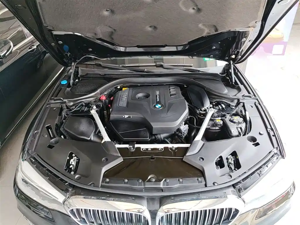 BMW 5 Series 2020 530Li Leading Luxury Package фото 20