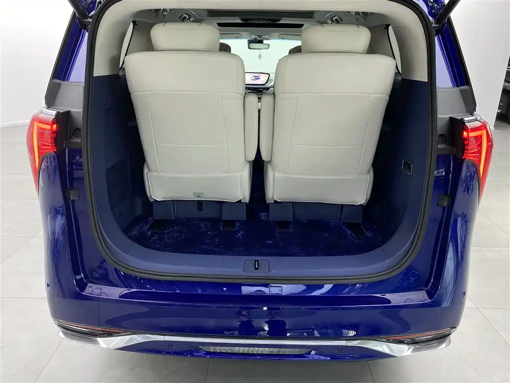 Buick Century 2023 2.0T 6-Seat World Edition фото 35