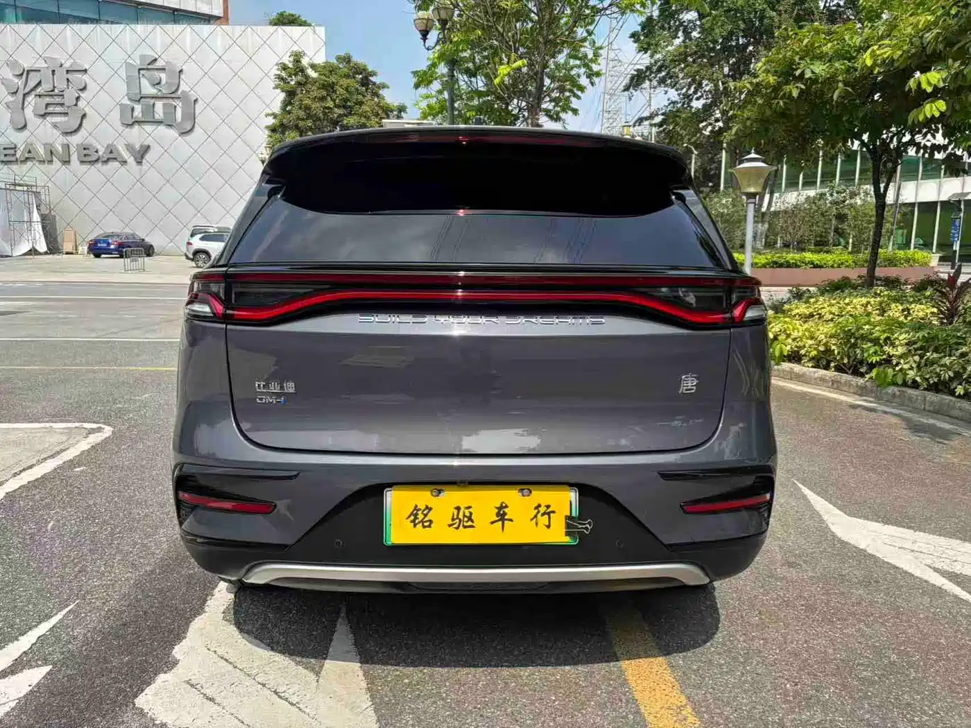 BYD Tang New Energy 2021 DM-i 112KM Honor фото 6