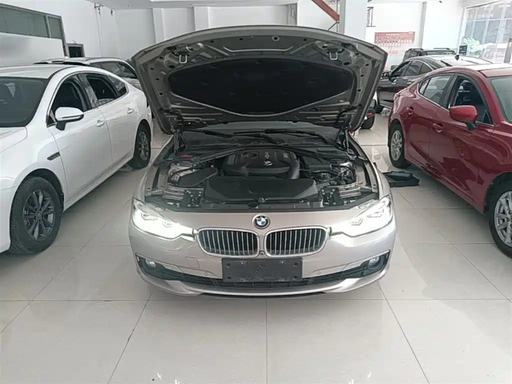 BMW 3 Series 2019 320Li Fashion Type фото 20