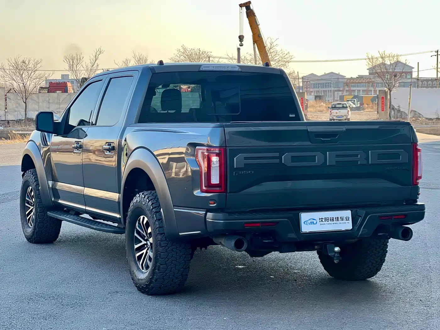  Ford Ford F-150 Raptor 2019 3.5T Raptor Performance Enhanced Edition 12