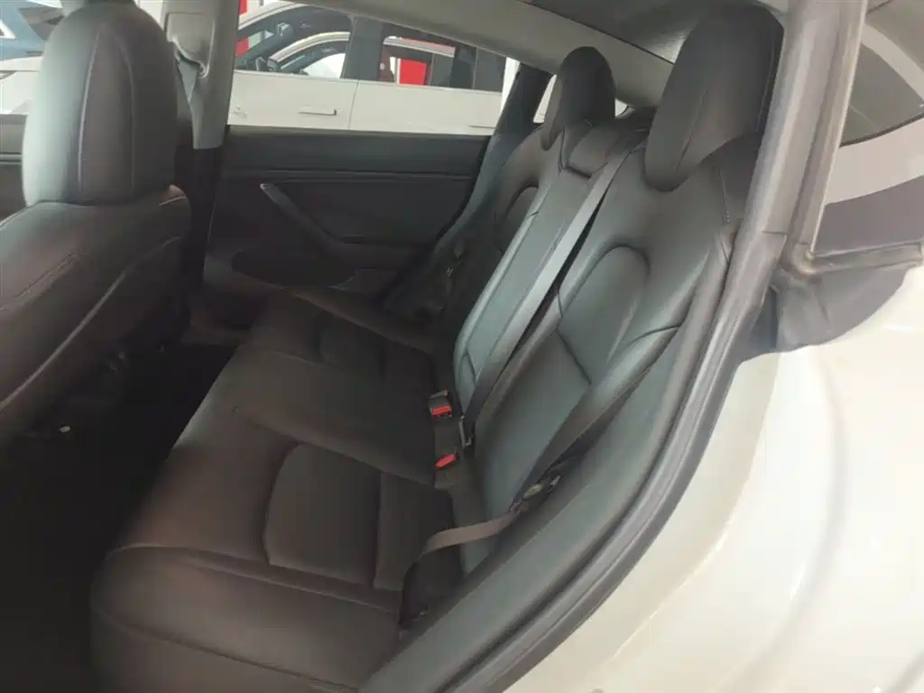 TESLA MODEL 3 (IMPORTED)