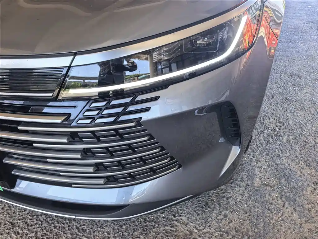 BYD Destroyer 05 2024 Glory Edition DM-i 55KM Luxury фото 16