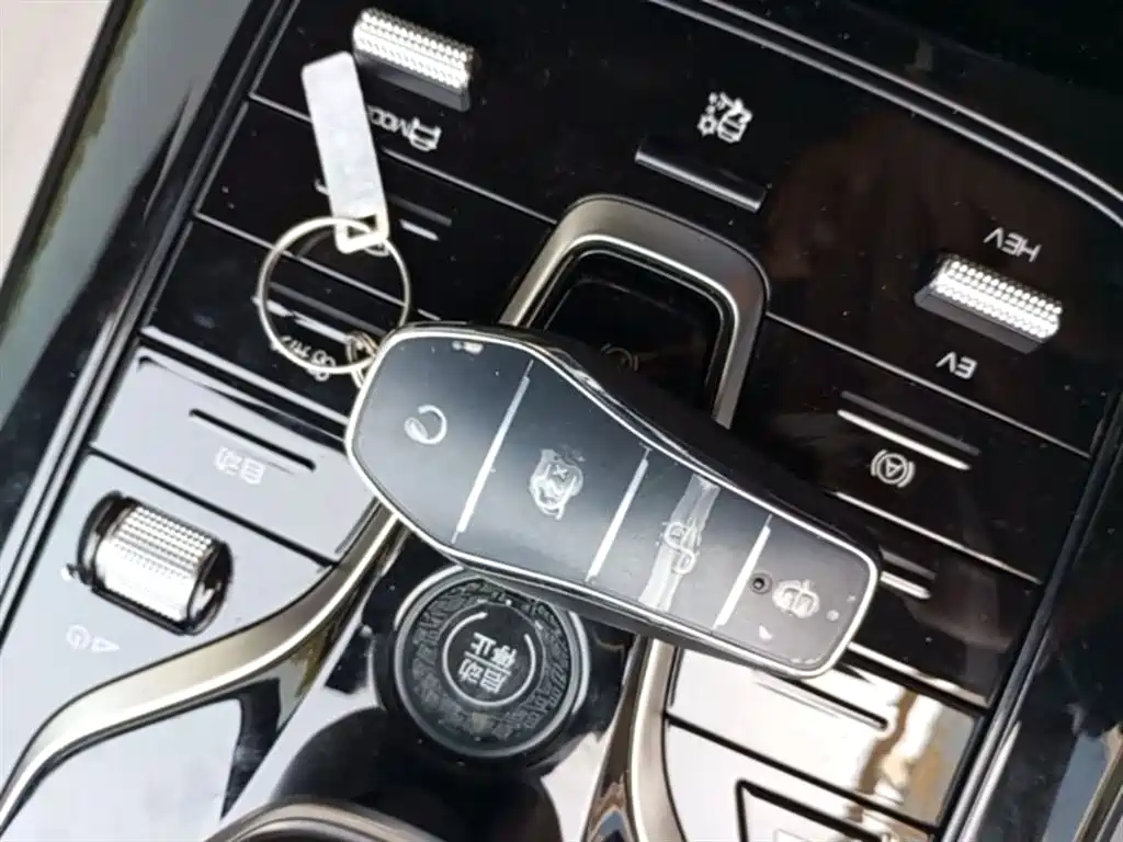 BYD Qin PLUS 2024 Glory Edition DM-i 55KM Leading фото 9