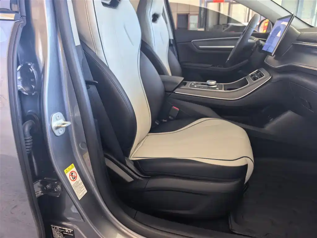 BYD Destroyer 05 2024 Glory Edition DM-i 55KM Luxury фото 24