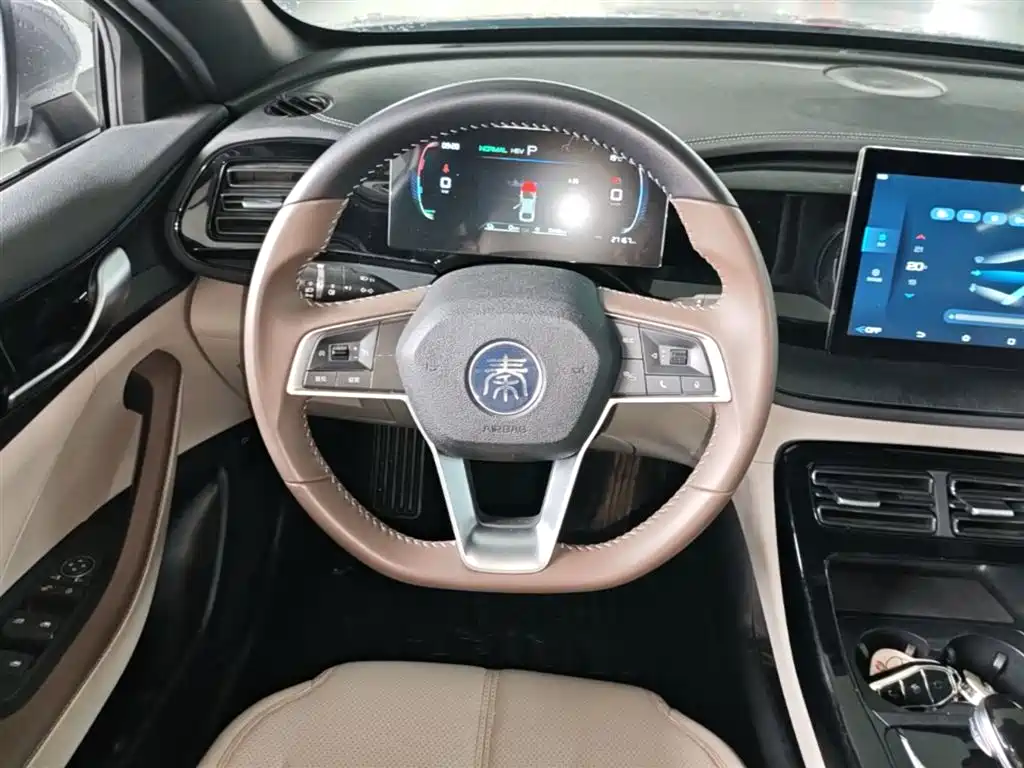BYD Qin PLUS 2024 Glory Edition DM-i 55KM Leading фото 17