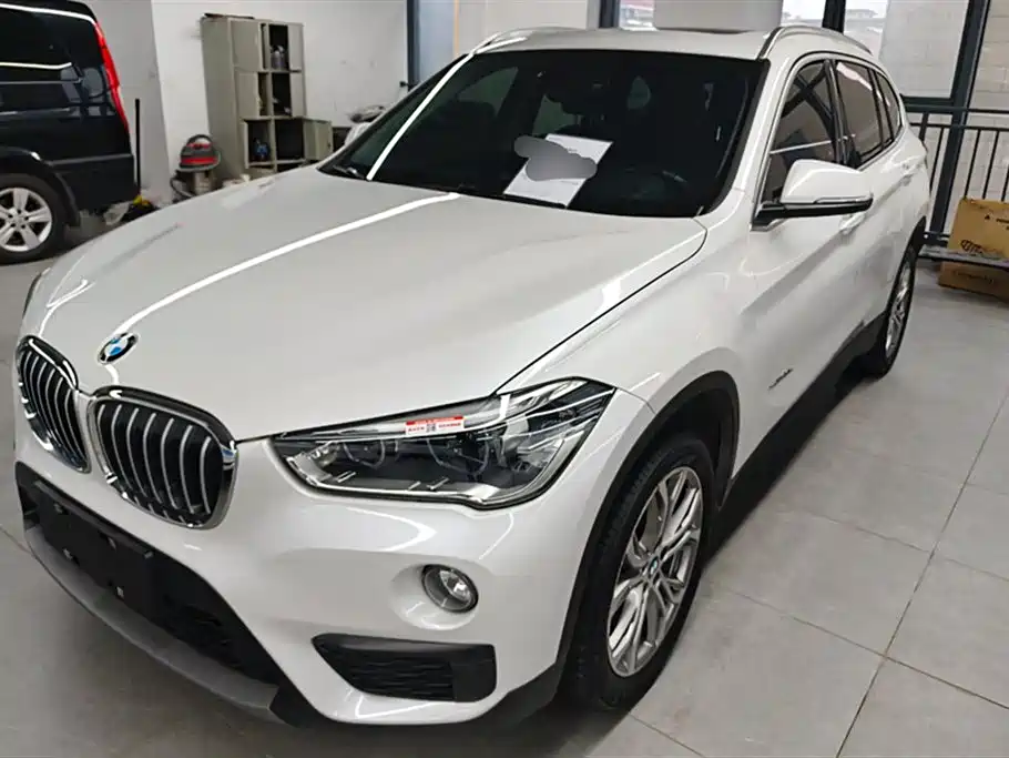 BMW X1 2018 sDrive20Li Leading Model