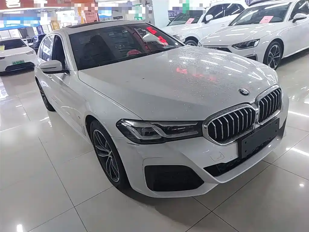 BMW 5 Series New Energy 2021 535Le M Sport Package фото 22