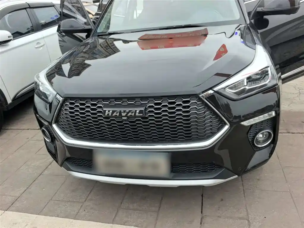 Haval H6 Coupe 2019 1.5T Auto 2WD Luxury Smart Edition China VI фото 3