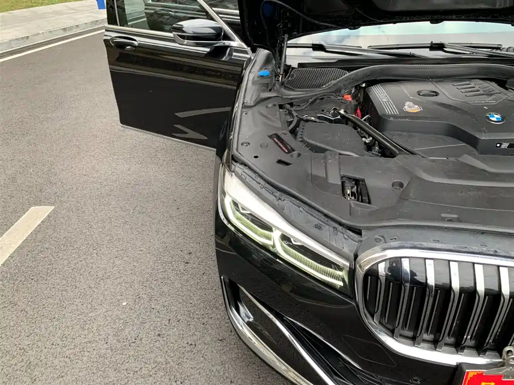 BMW 7 Series 2021 Model 730Li Luxury Package фото 17
