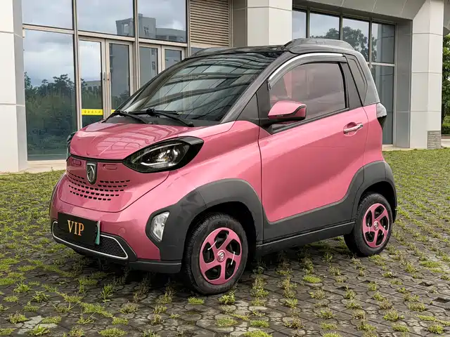  Baojun Baojun E100 2019 250KM Smart Edition