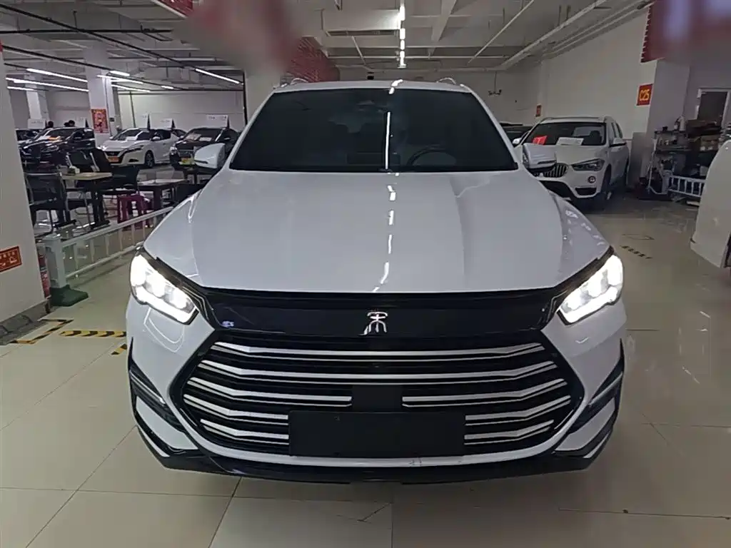 BYD Song Pro New Energy 2022 DM-i 51km Premium фото 3