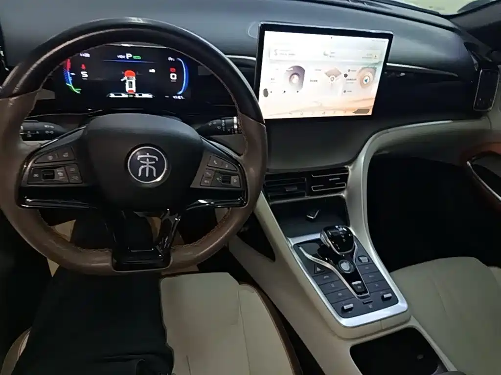 BYD Song Pro New Energy 2022 DM-i 51km Premium фото 10