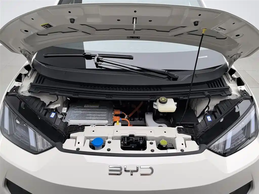 BYD Seagull 2025 Smart Drive Edition 305km Vitality Version фото 6