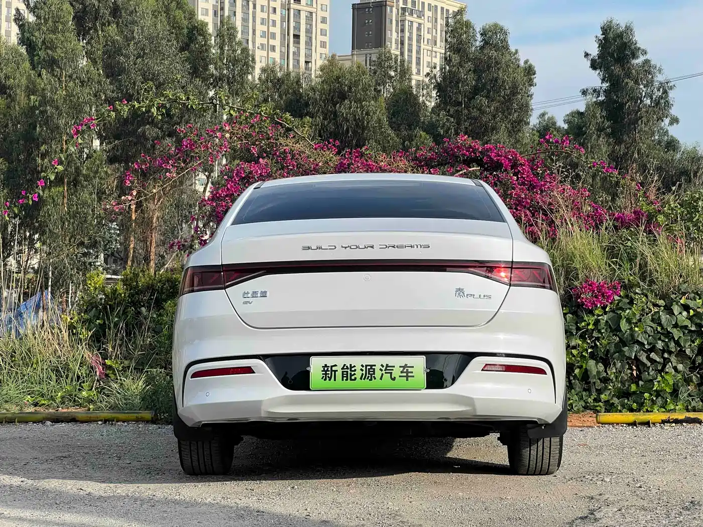BYD Qin PLUS 2021 EV 500KM Luxury Model фото 8