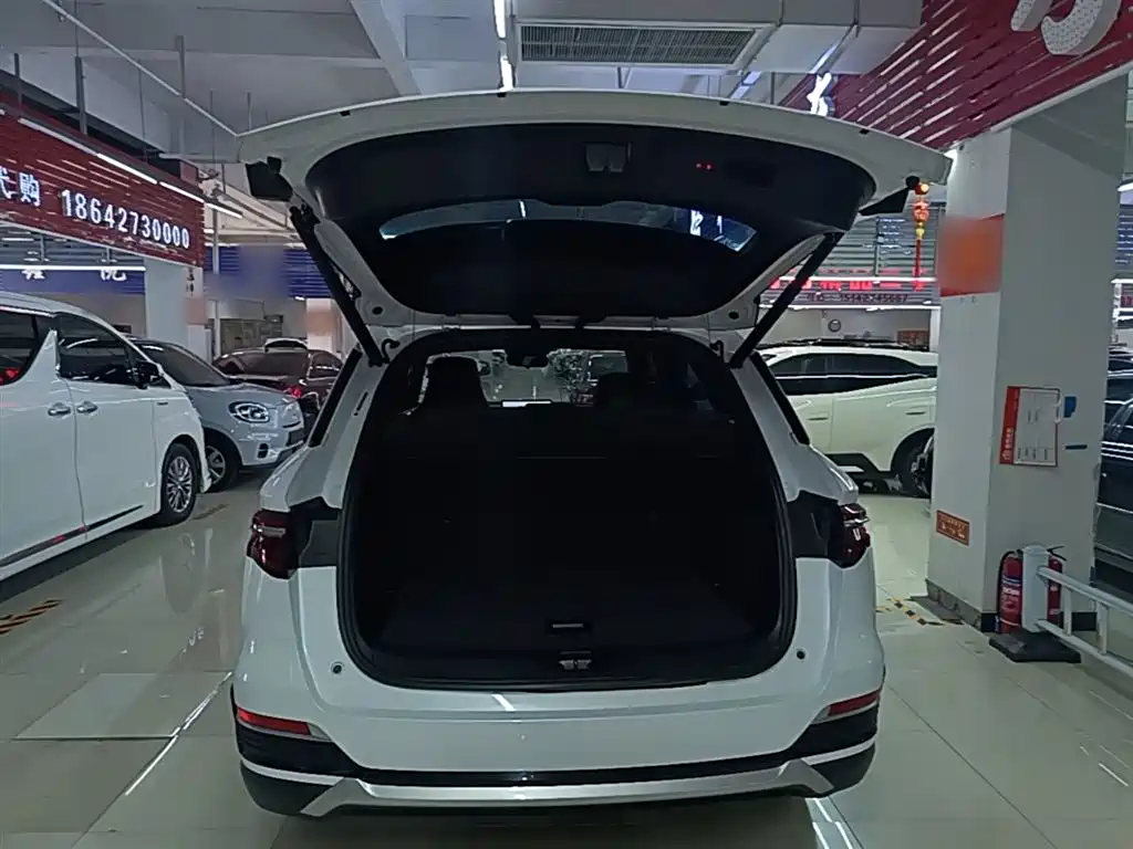 BYD Song Pro New Energy 2022 DM-i 51km Premium фото 19