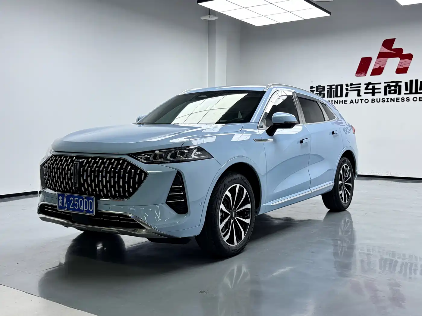 WEY Mocha 2021 2.0T 2WD Extra Rich Edition