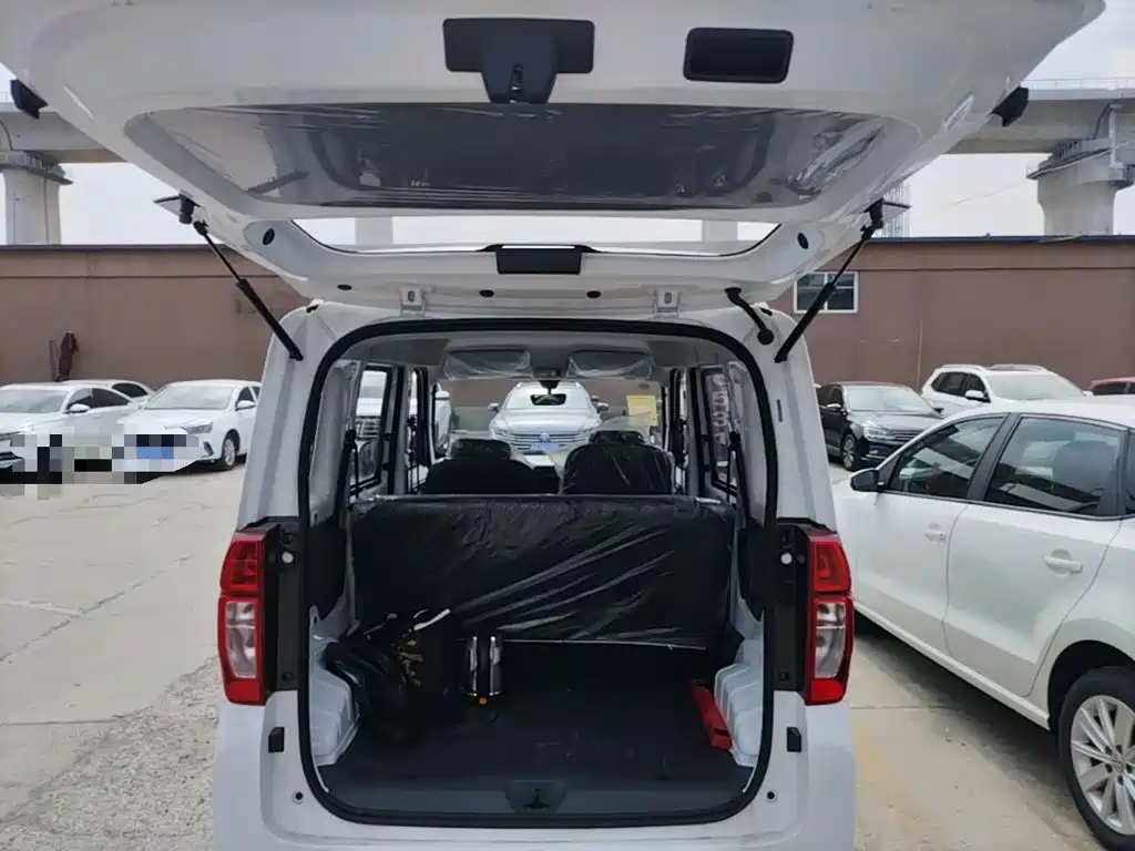 Wuling Motors Wuling Zhiguang NEV 2026 2025 Model 305km Base Version