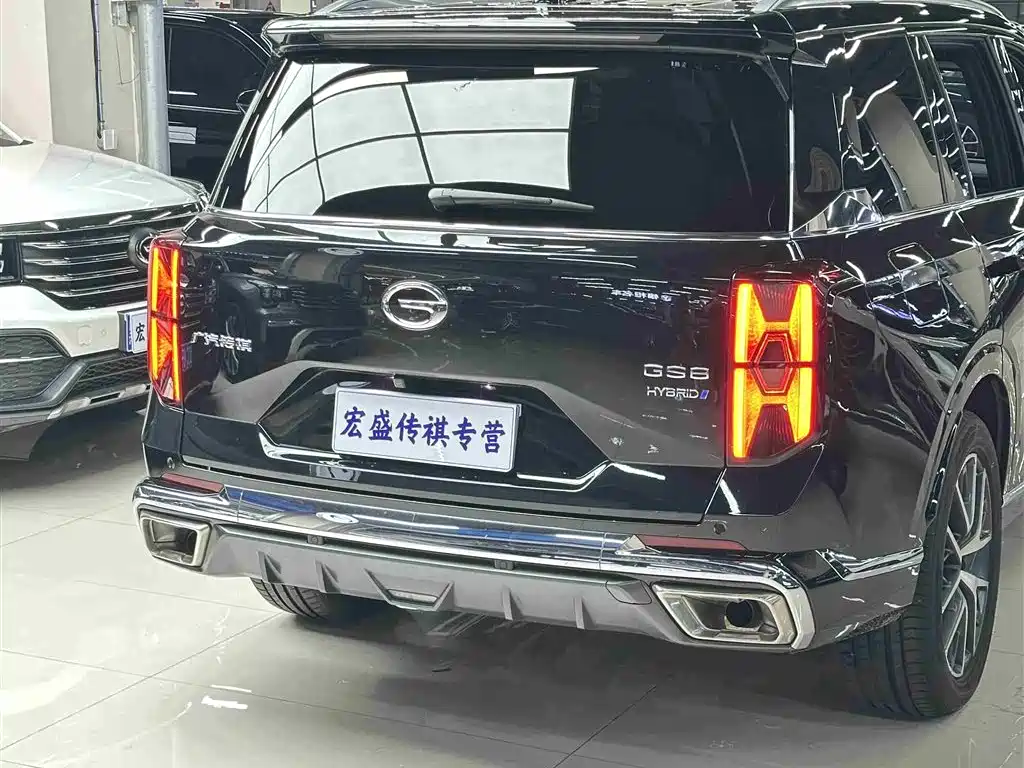 GAC Trumpchi Trumpchi GS8 2022 Dual Engine Series 2.0TM 2WD Premium Edition (7-Seater) фото 36