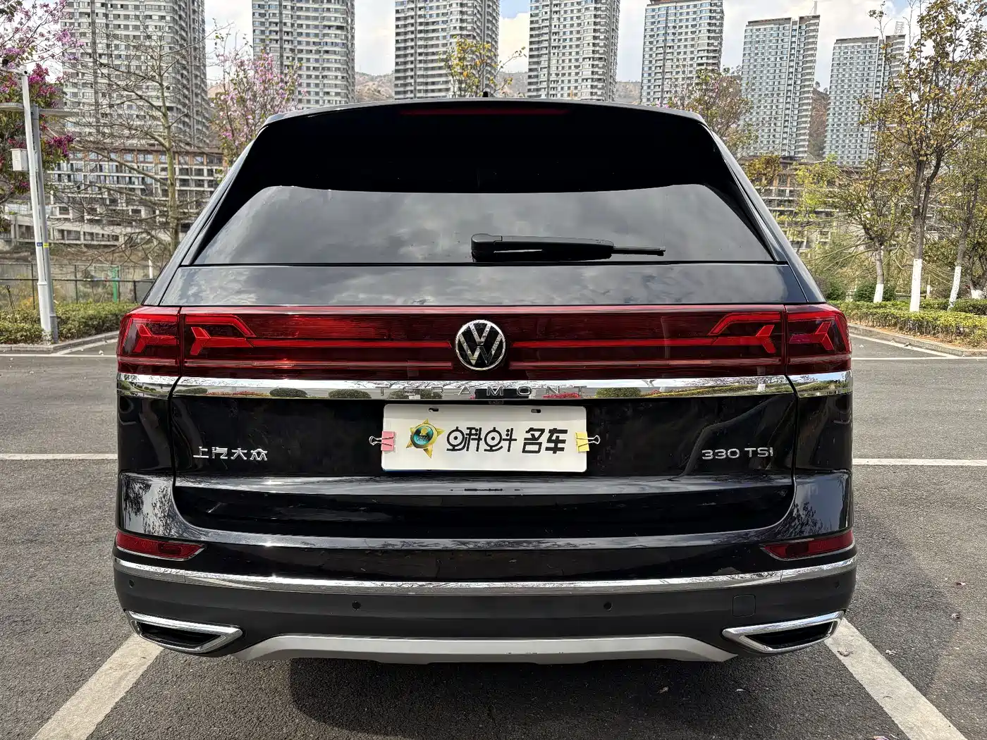Volkswagen Teramont 2021 330TSI 2WD Premium Luxury Edition фото 5