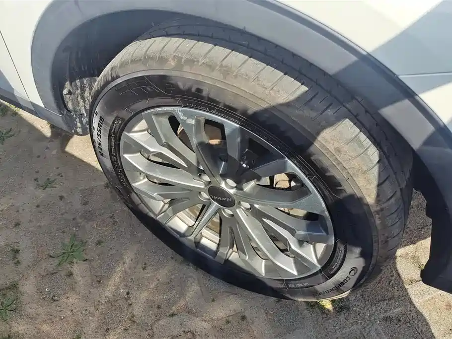Haval H6 2020 1.5GDIT Automatic Platinum Champion Edition фото 6