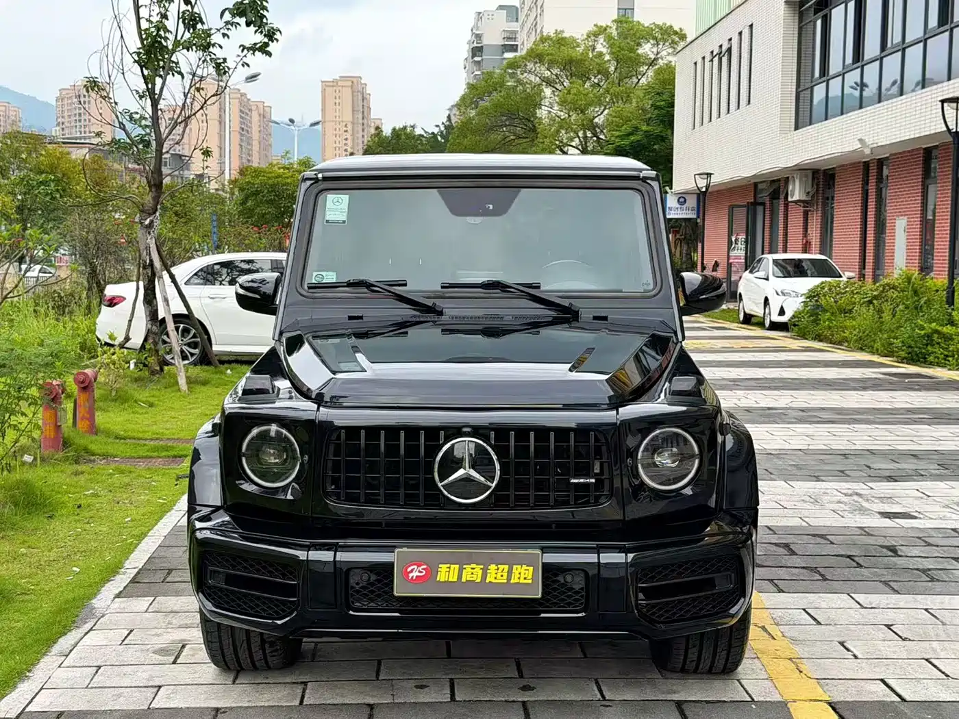 Mercedes-Benz G-Class 2010 G 500