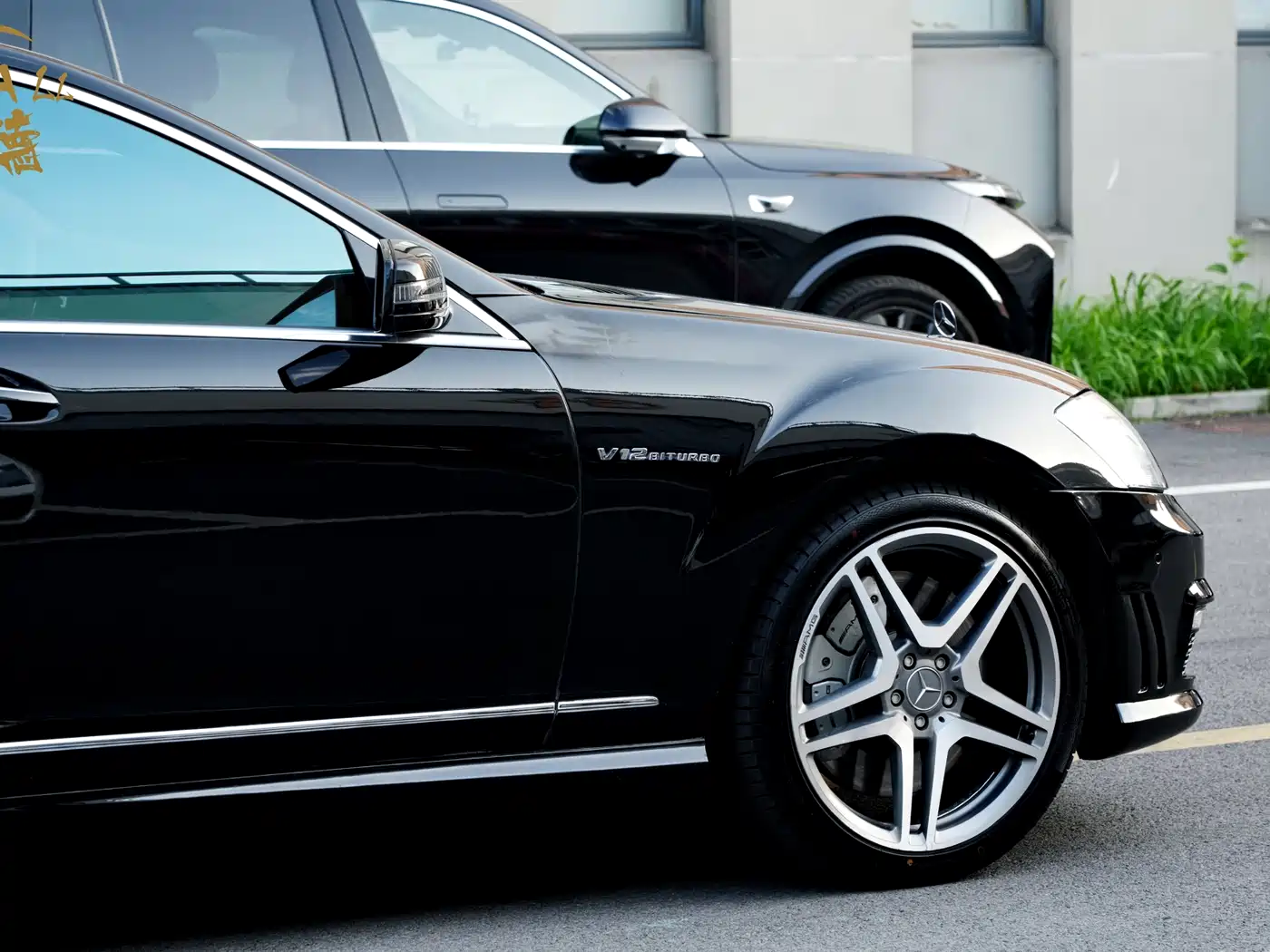 Mercedes-Benz S-Class AMG 2010 AMG S 65 фото 5