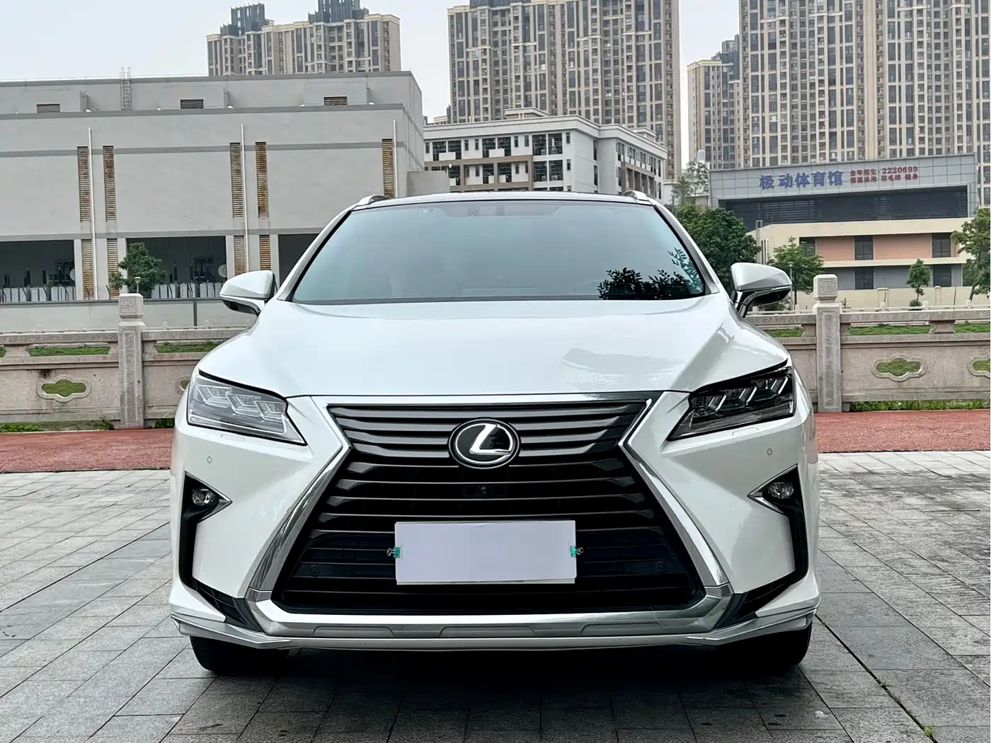 LEXUS RX