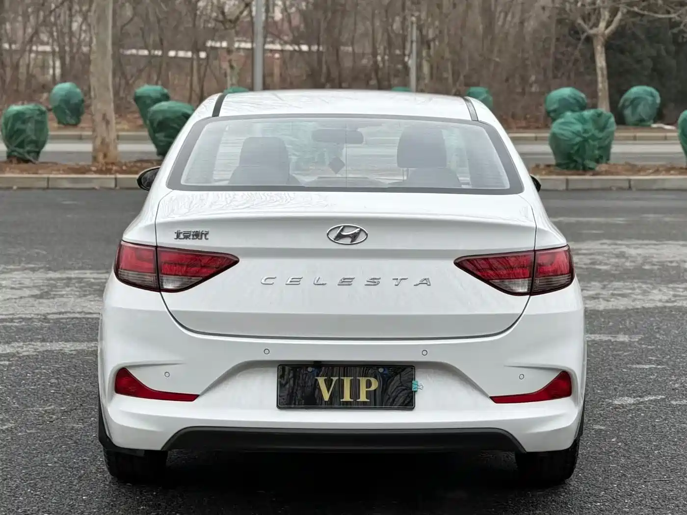 HYUNDAI YUEDONG