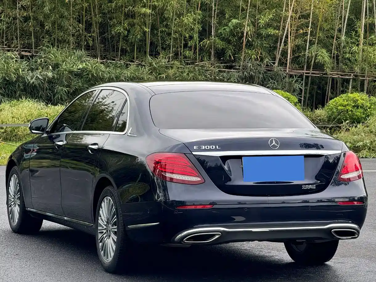 Mercedes-Benz E-Class 2020 E 300 L Fashion фото 5