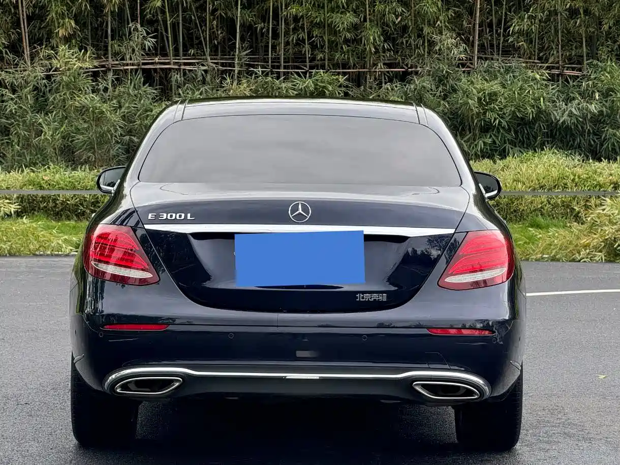Mercedes-Benz E-Class 2020 E 300 L Fashion фото 4