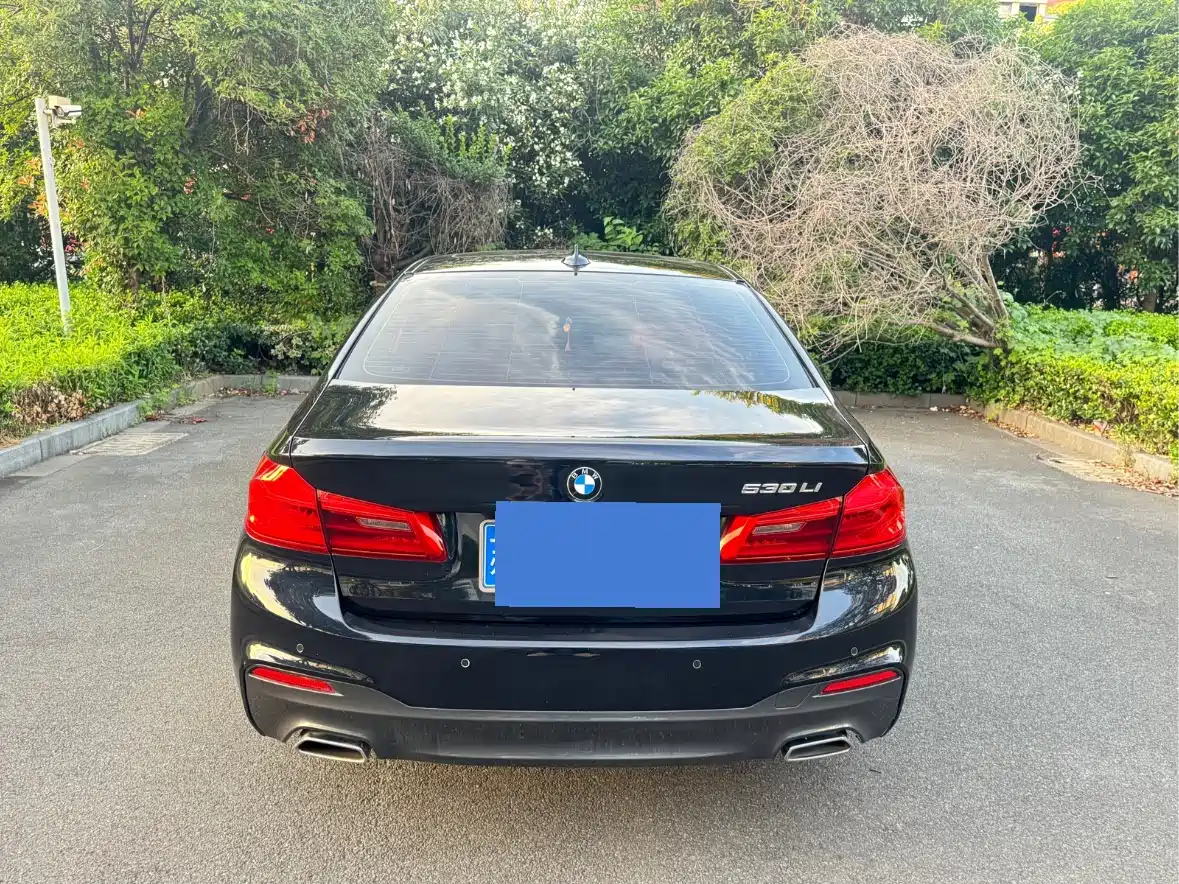 BMW 5 Series 2019 530Li Premium M Sport Package фото 5