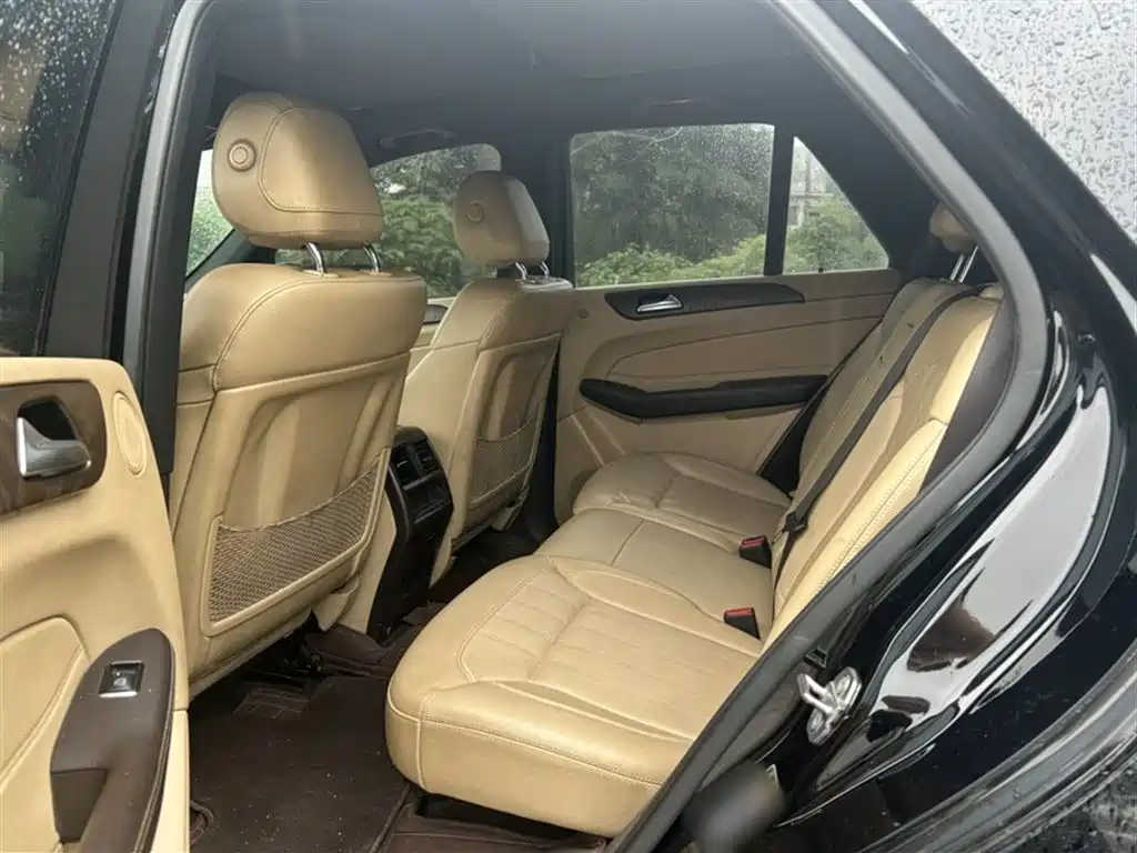 Mercedes-Benz GLE 2017 GLE 320 4MATIC Dynamic фото 10