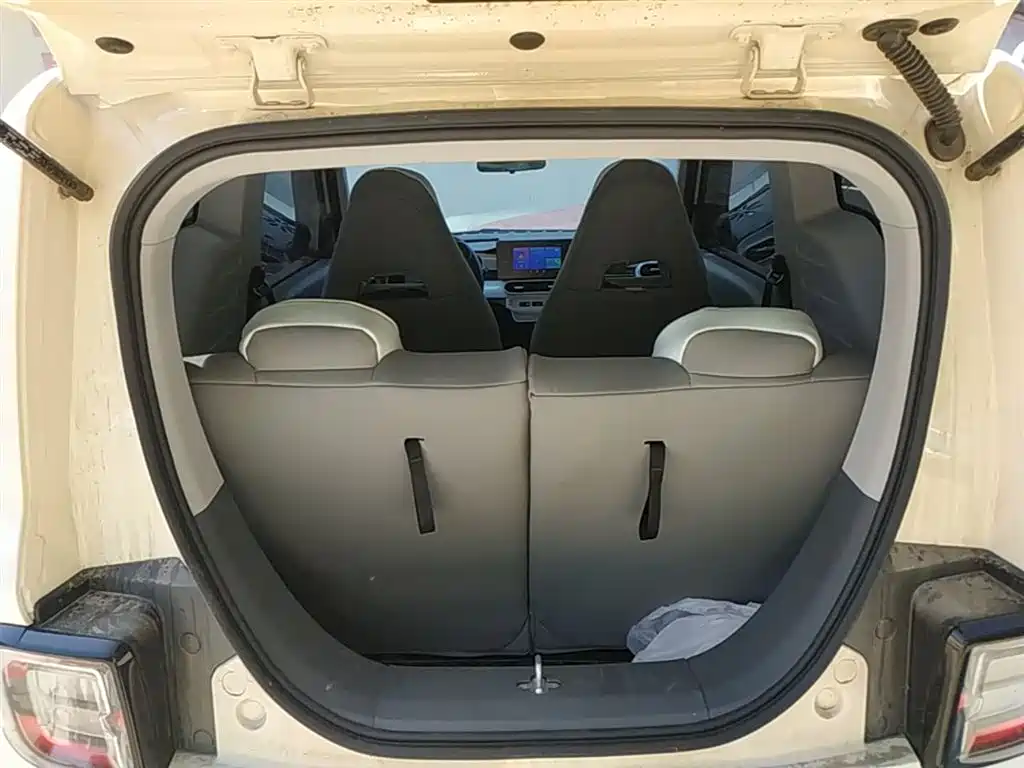 Geely Galaxy Panda 2025 Panda mini 210km Vitality Bear фото 19