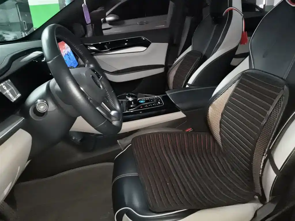 BYD Qin PLUS 2021 DM-i 55KM Flagship фото 12