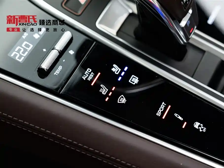 Porsche Panamera 2020 Panamera 10th Anniversary Edition 2.9T фото 15