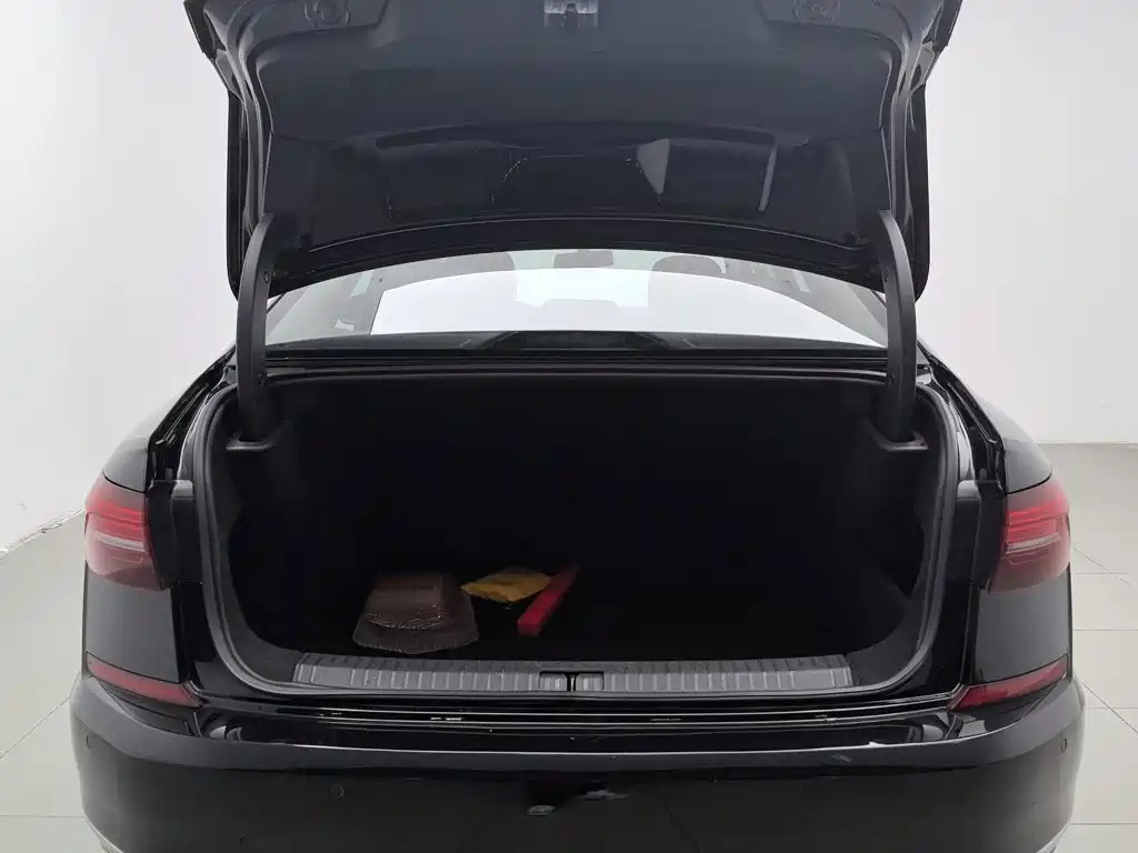 Photo 16 - Volkswagen Passat