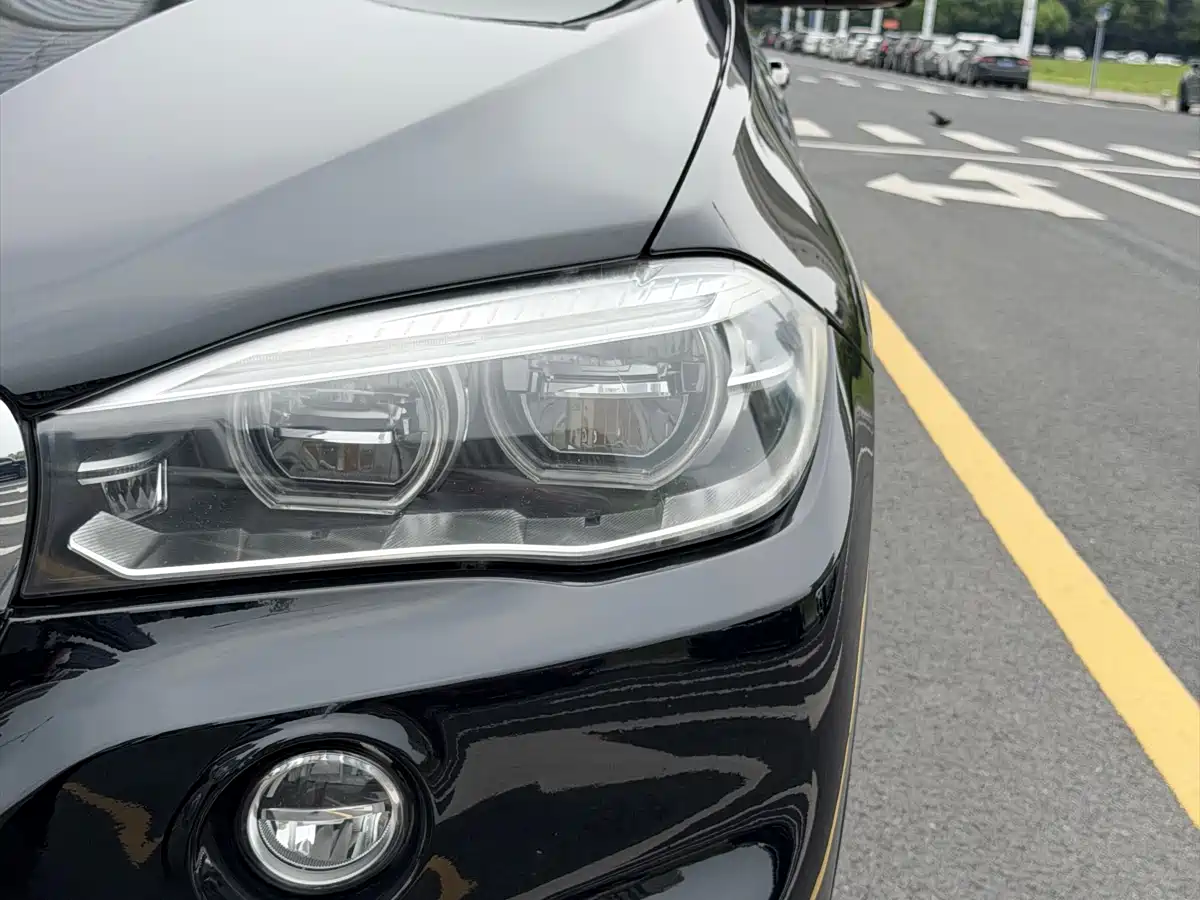 BMW X5 (Import) 2017 xDrive35i Elegance фото 4